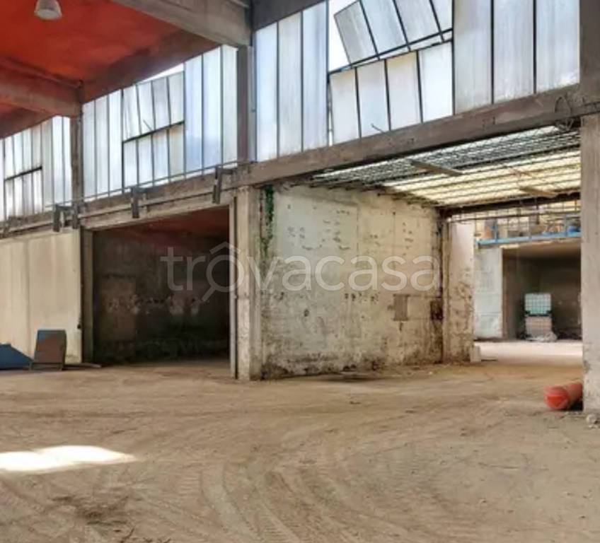 immagine annuncio 3 di 11