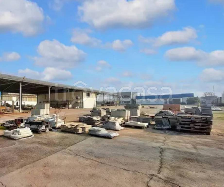 immagine annuncio 9 di 11