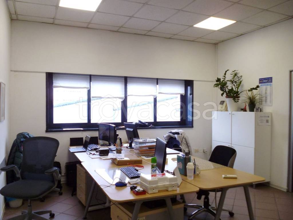 immagine annuncio 13 di 15