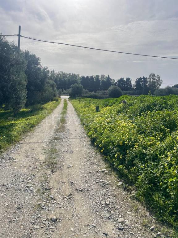 immagine annuncio 7 di 11