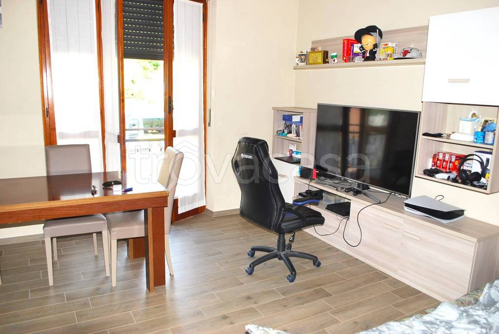 immagine annuncio 1 di 14