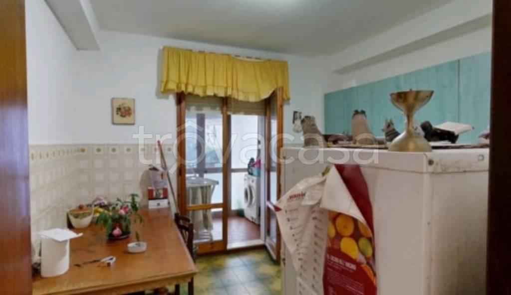 immagine annuncio 10 di 14