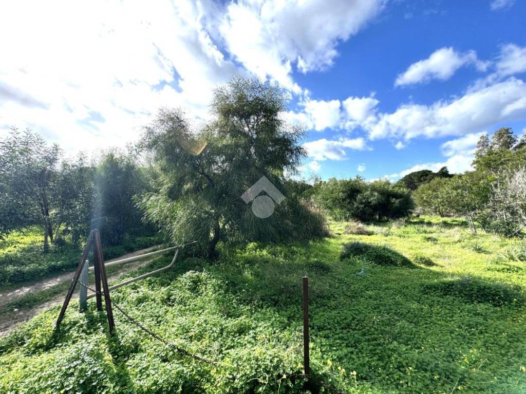 immagine annuncio 4 di 6