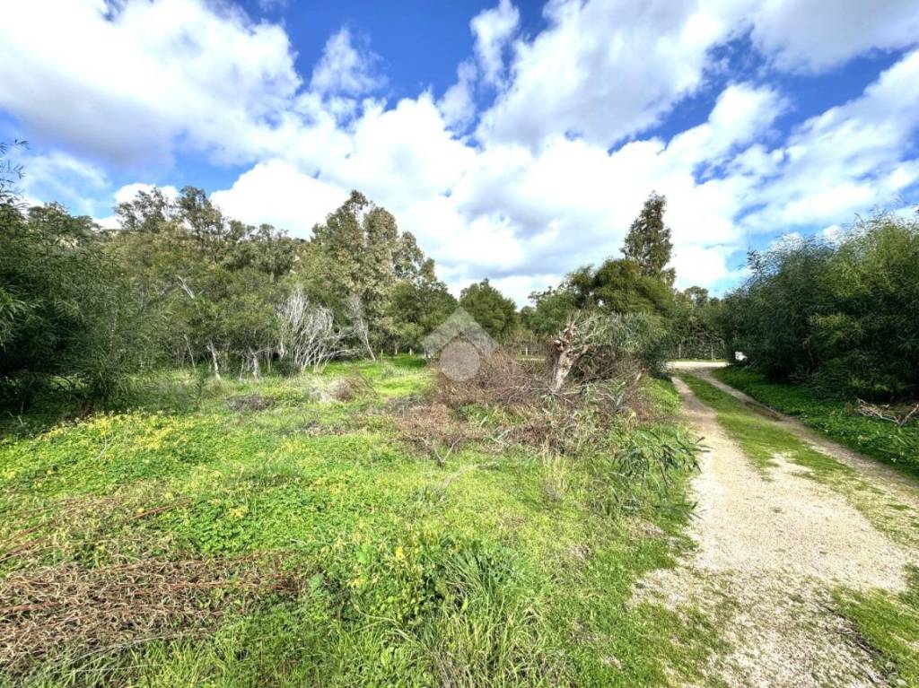 immagine annuncio 5 di 6