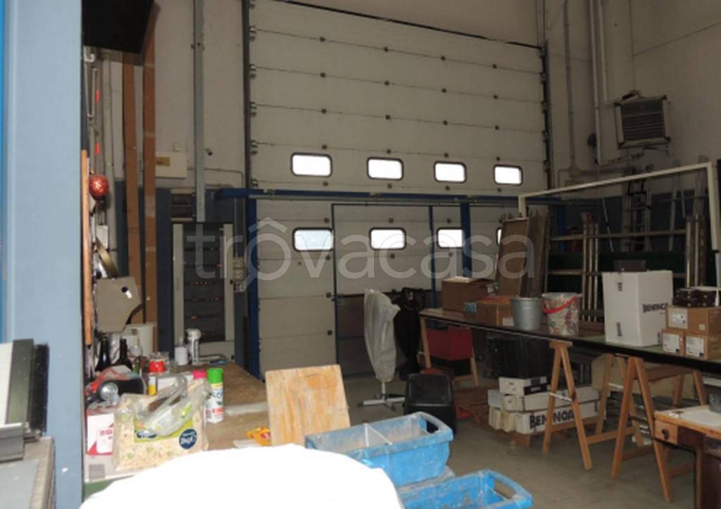 immagine annuncio 5 di 14