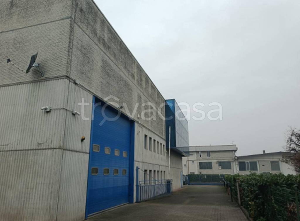 immagine annuncio 12 di 14