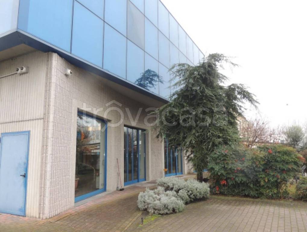 immagine annuncio 13 di 14