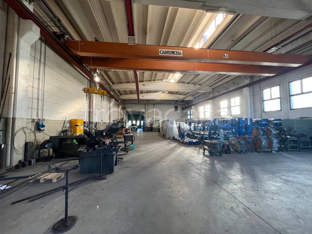 immagine annuncio 9 di 15