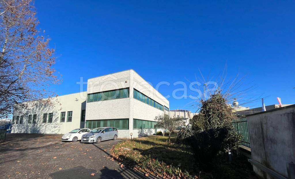 immagine annuncio 10 di 15