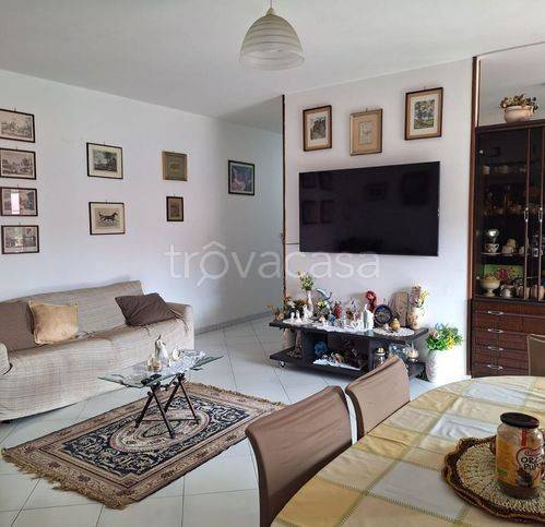 immagine annuncio 2 di 8