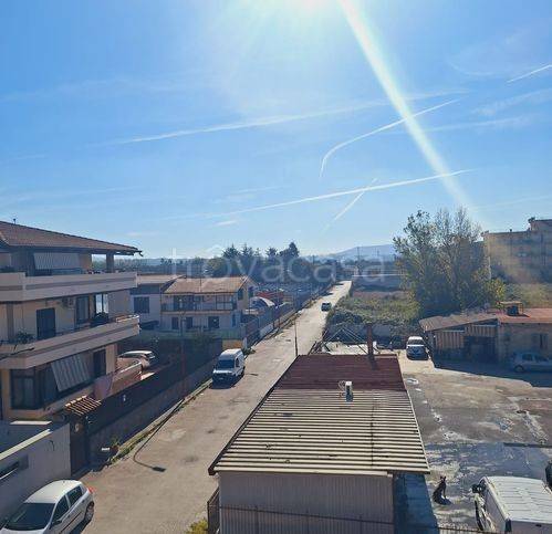 immagine annuncio 12 di 13