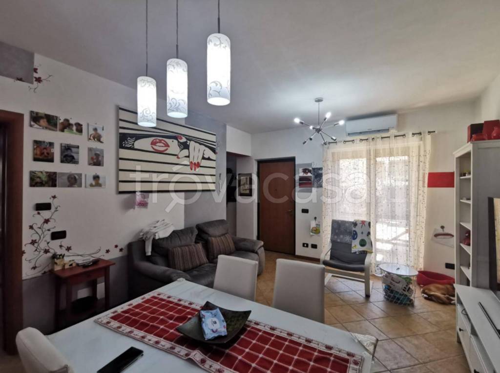 immagine annuncio 9 di 12