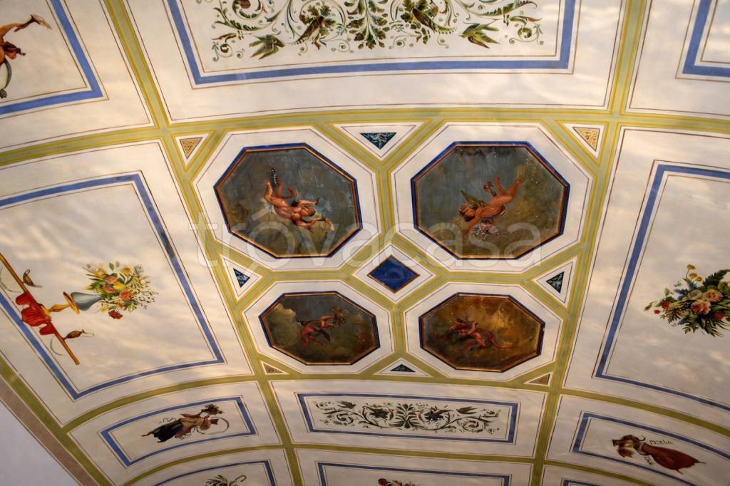 immagine annuncio 10 di 12