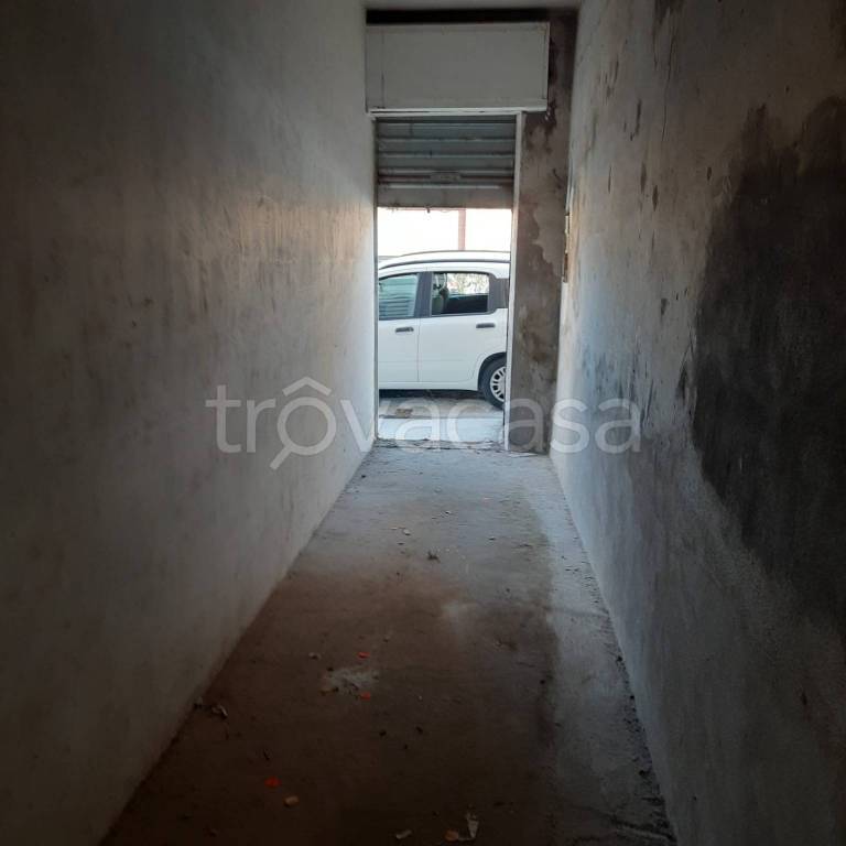 immagine annuncio 12 di 14