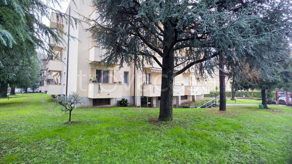 immagine annuncio 3 di 6