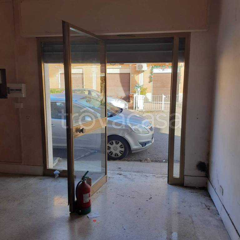 immagine annuncio 5 di 14