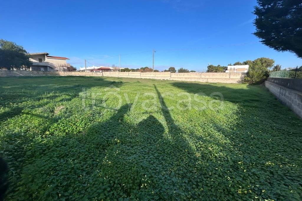 immagine annuncio 1 di 14