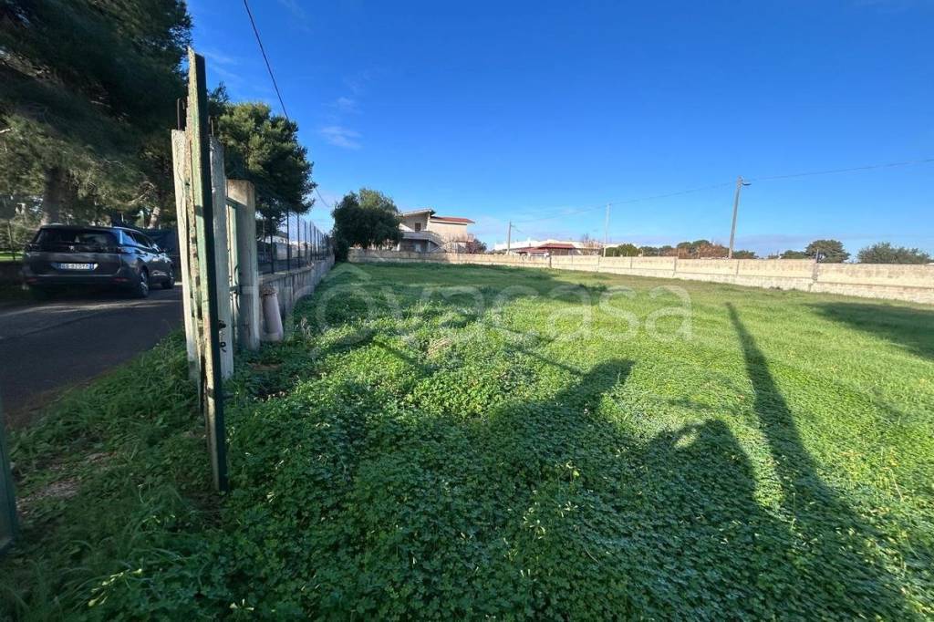 immagine annuncio 2 di 14