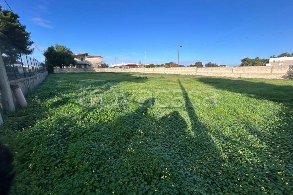 immagine annuncio 3 di 14