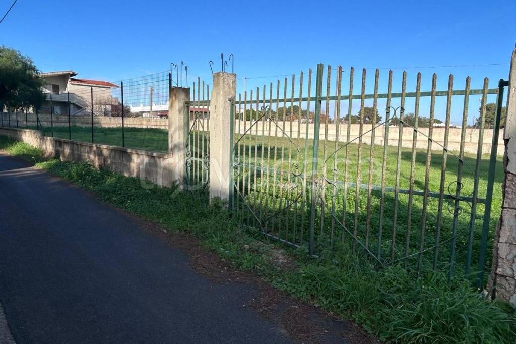 immagine annuncio 4 di 14