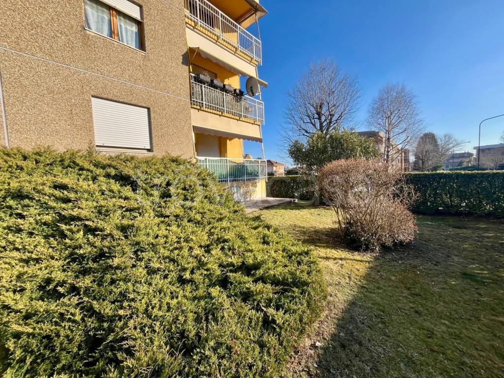 immagine annuncio 11 di 13