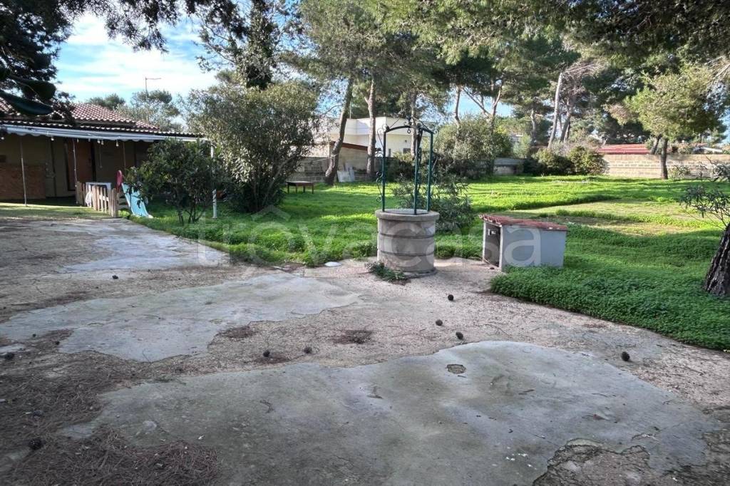 immagine annuncio 11 di 14