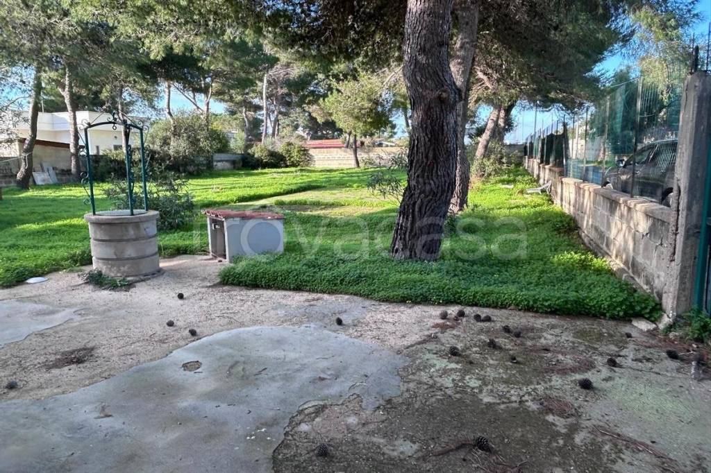 immagine annuncio 12 di 14