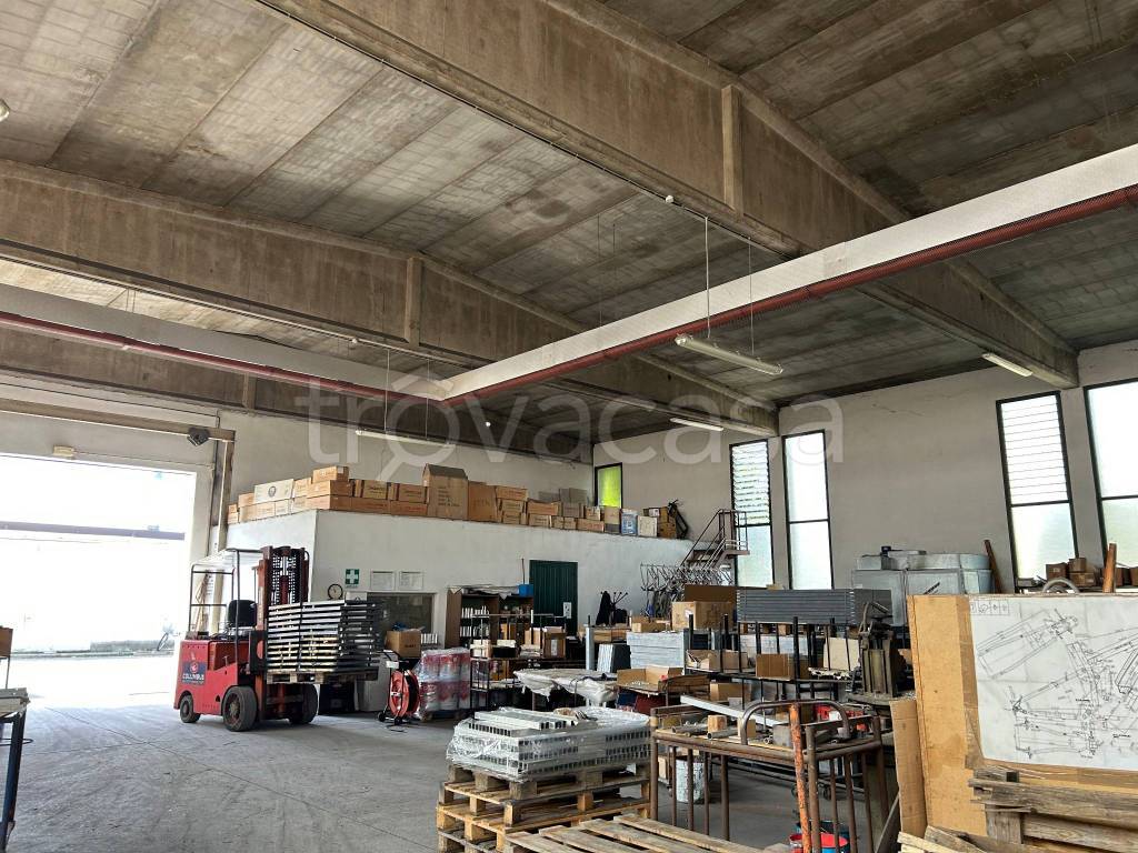 immagine annuncio 5 di 10