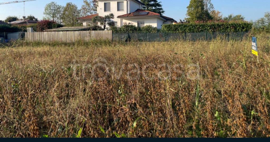 immagine annuncio 3 di 11