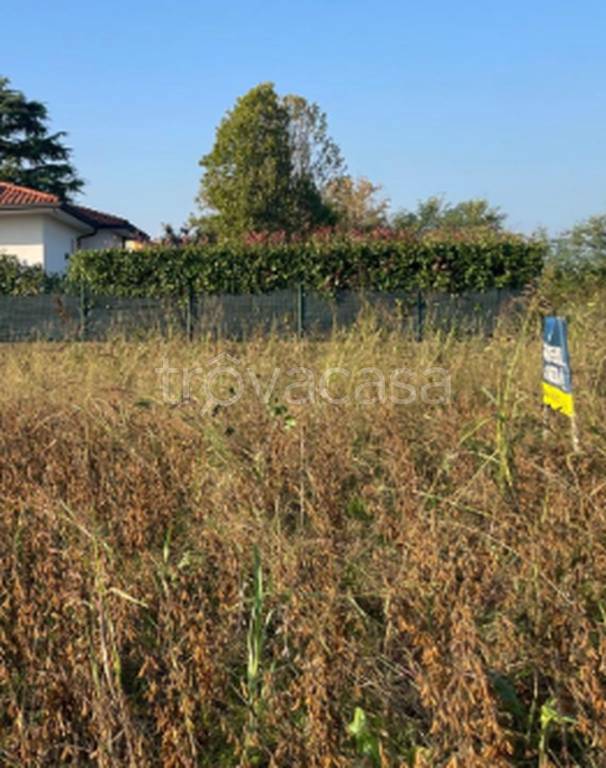 immagine annuncio 4 di 11