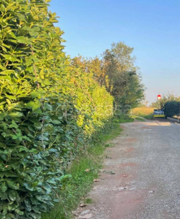 immagine annuncio 5 di 11