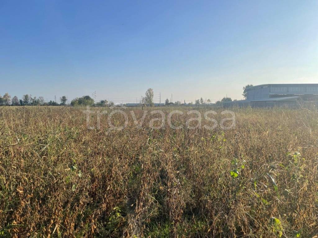 immagine annuncio 3 di 12