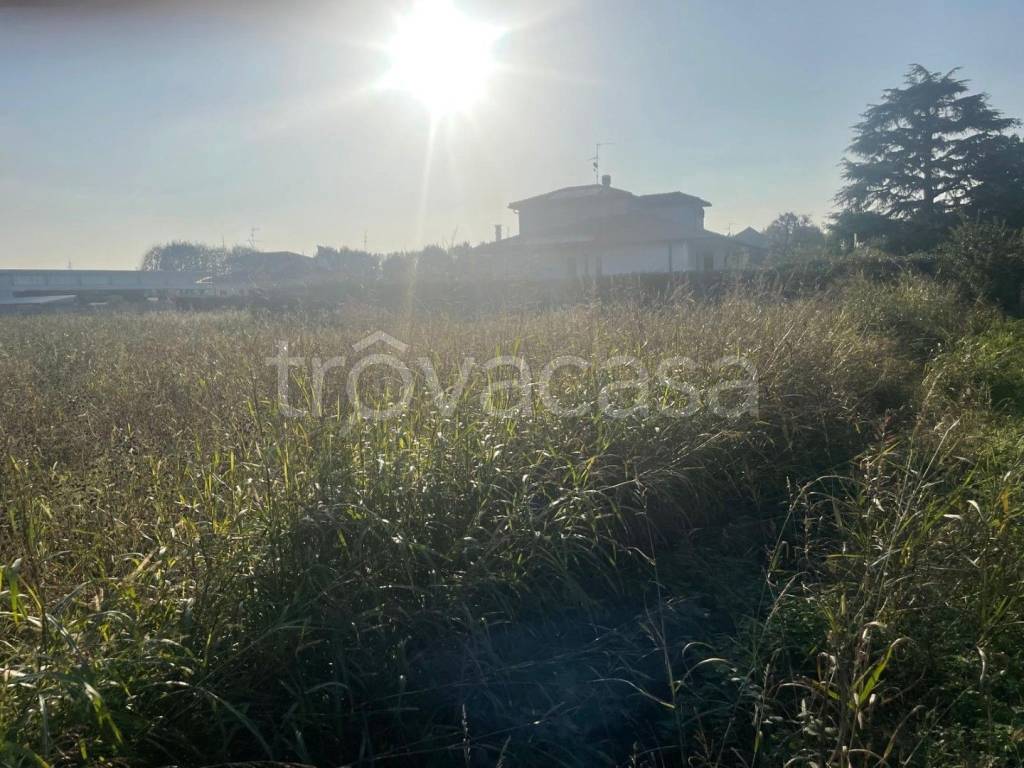 immagine annuncio 6 di 12