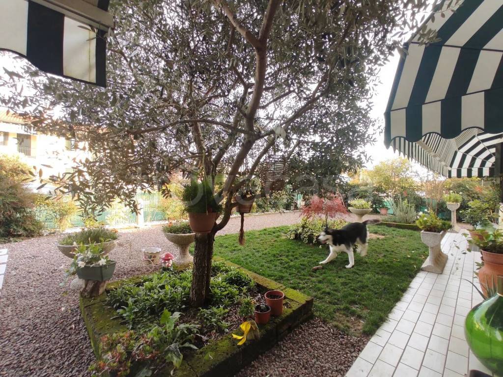 immagine annuncio 11 di 15