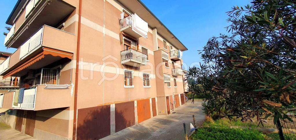 immagine annuncio 6 di 15