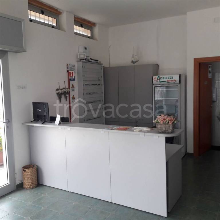 immagine annuncio 2 di 12