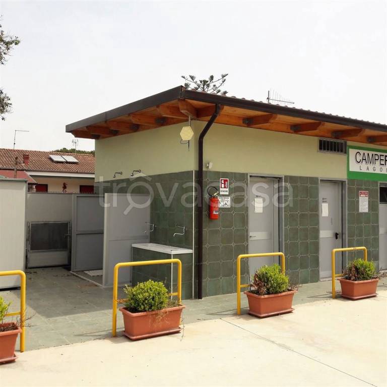 immagine annuncio 3 di 12