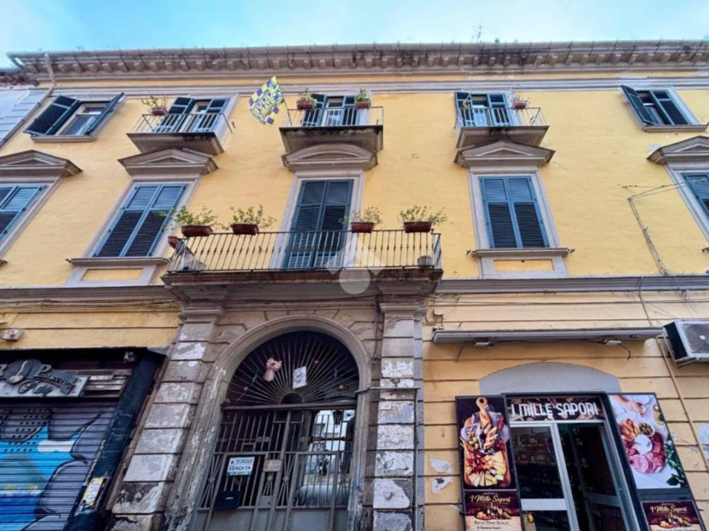 immagine annuncio 4 di 7