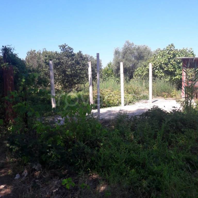 immagine annuncio 1 di 8