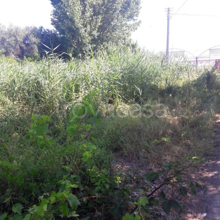 immagine annuncio 2 di 8