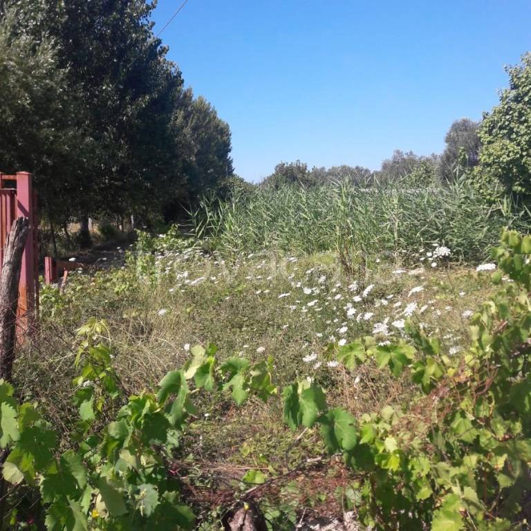 immagine annuncio 3 di 8