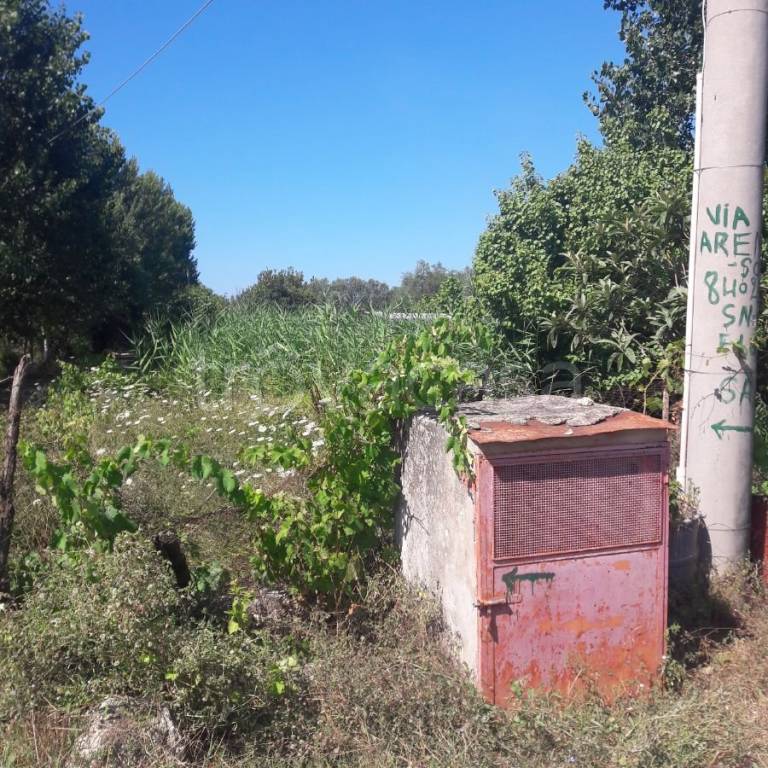 immagine annuncio 5 di 8