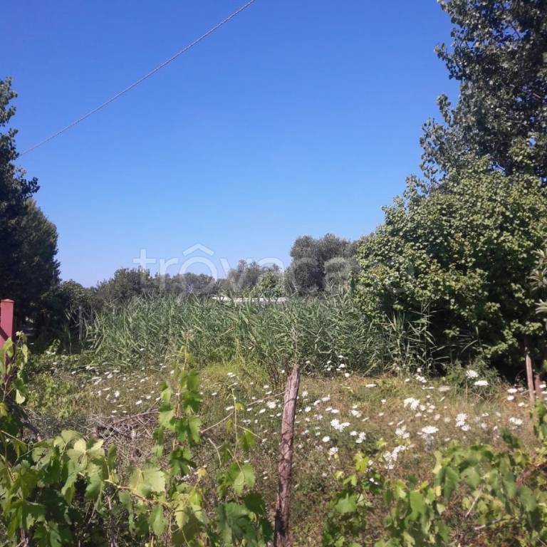 immagine annuncio 6 di 8