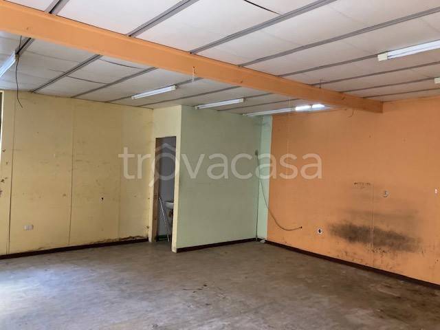 immagine annuncio 2 di 6