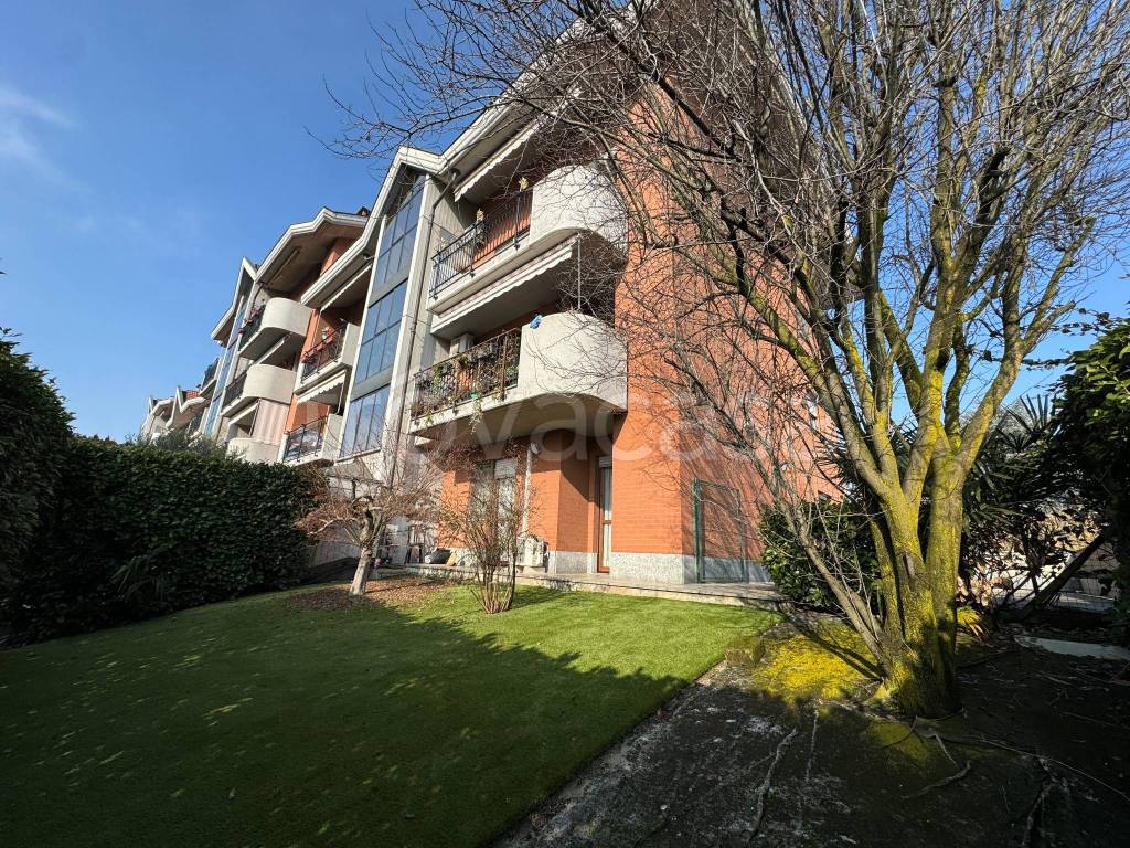 immagine annuncio 1 di 15