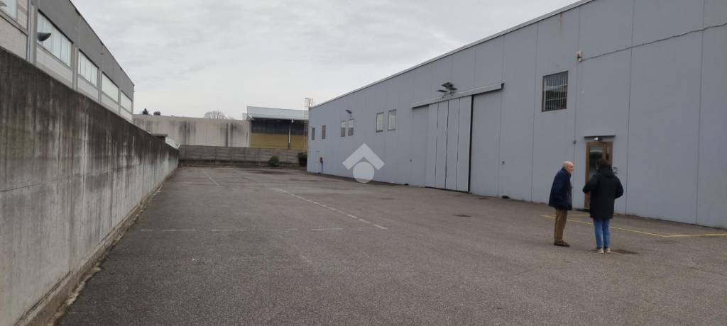 immagine annuncio 2 di 12