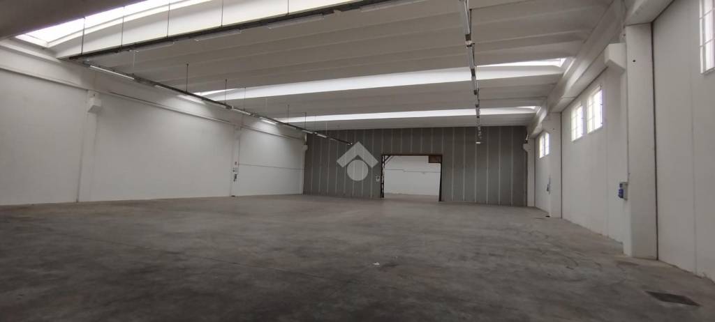 immagine annuncio 3 di 12