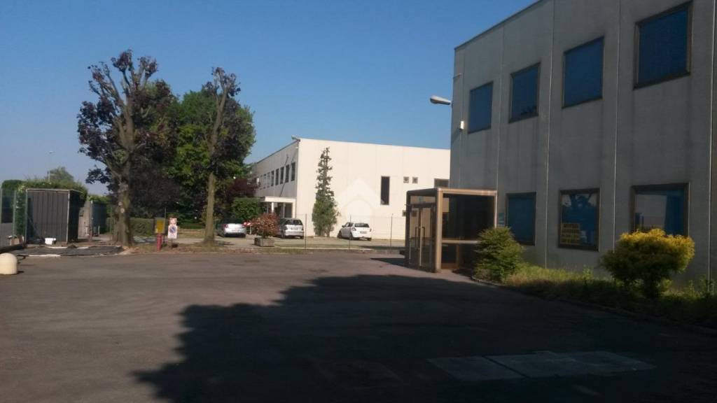 immagine annuncio 4 di 12