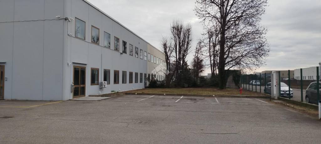 immagine annuncio 5 di 12