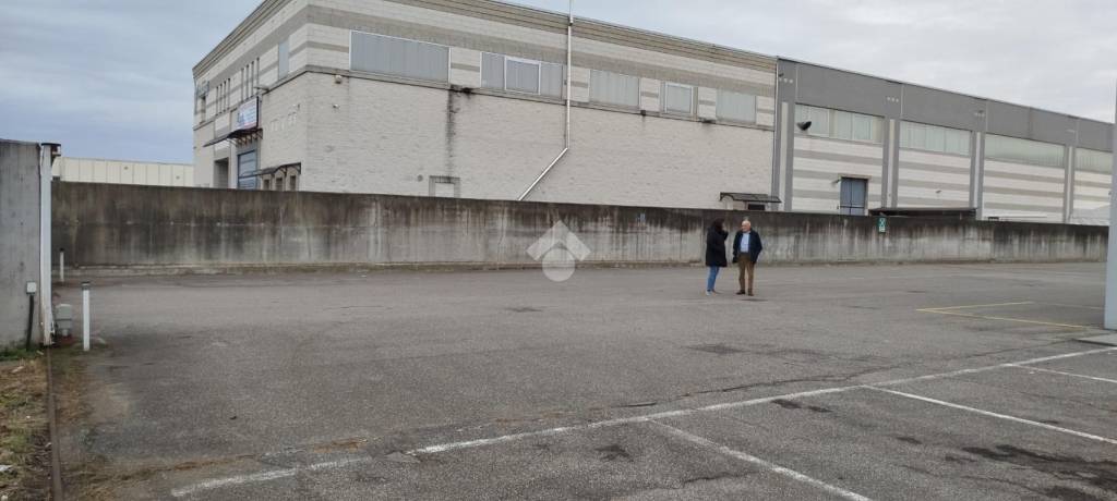 immagine annuncio 9 di 12